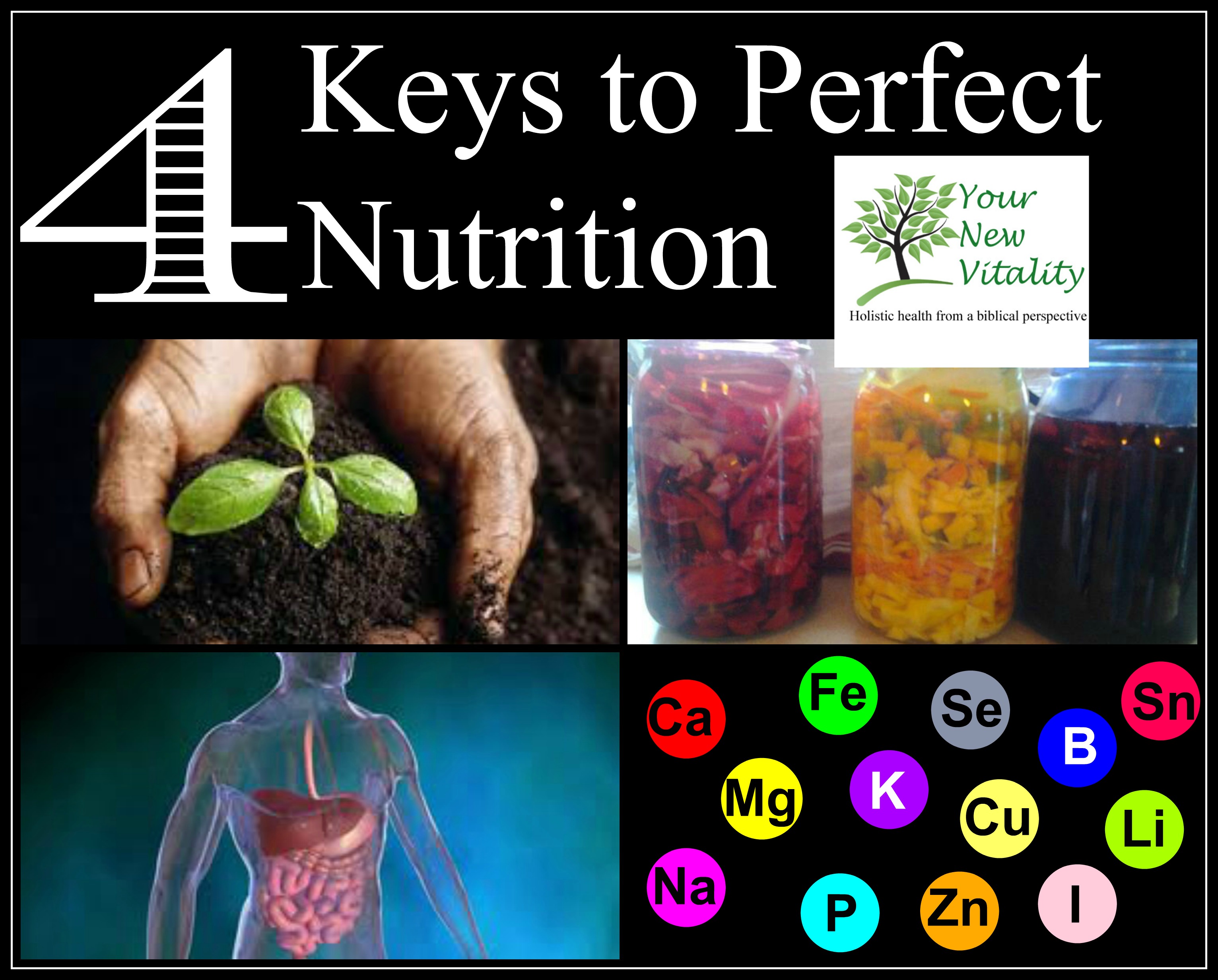 4 Keys to Perfect Nutrition