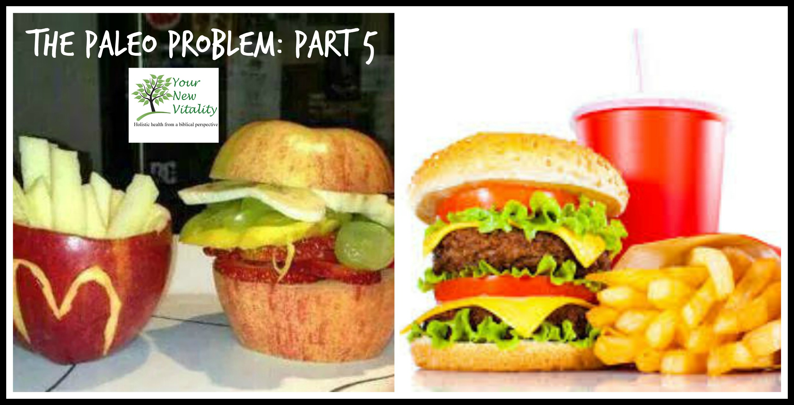 The Paleo Problem: Part 5