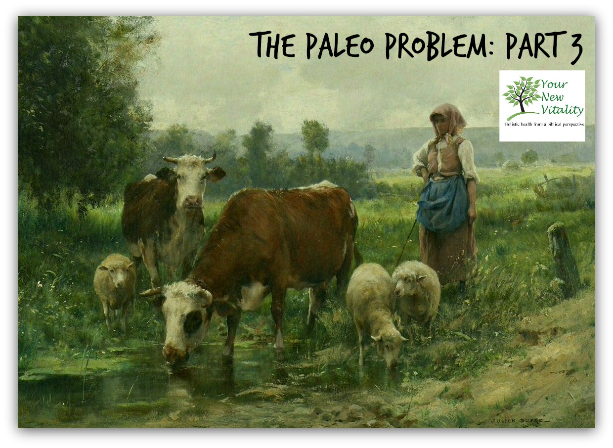 The Paleo Problem 4b