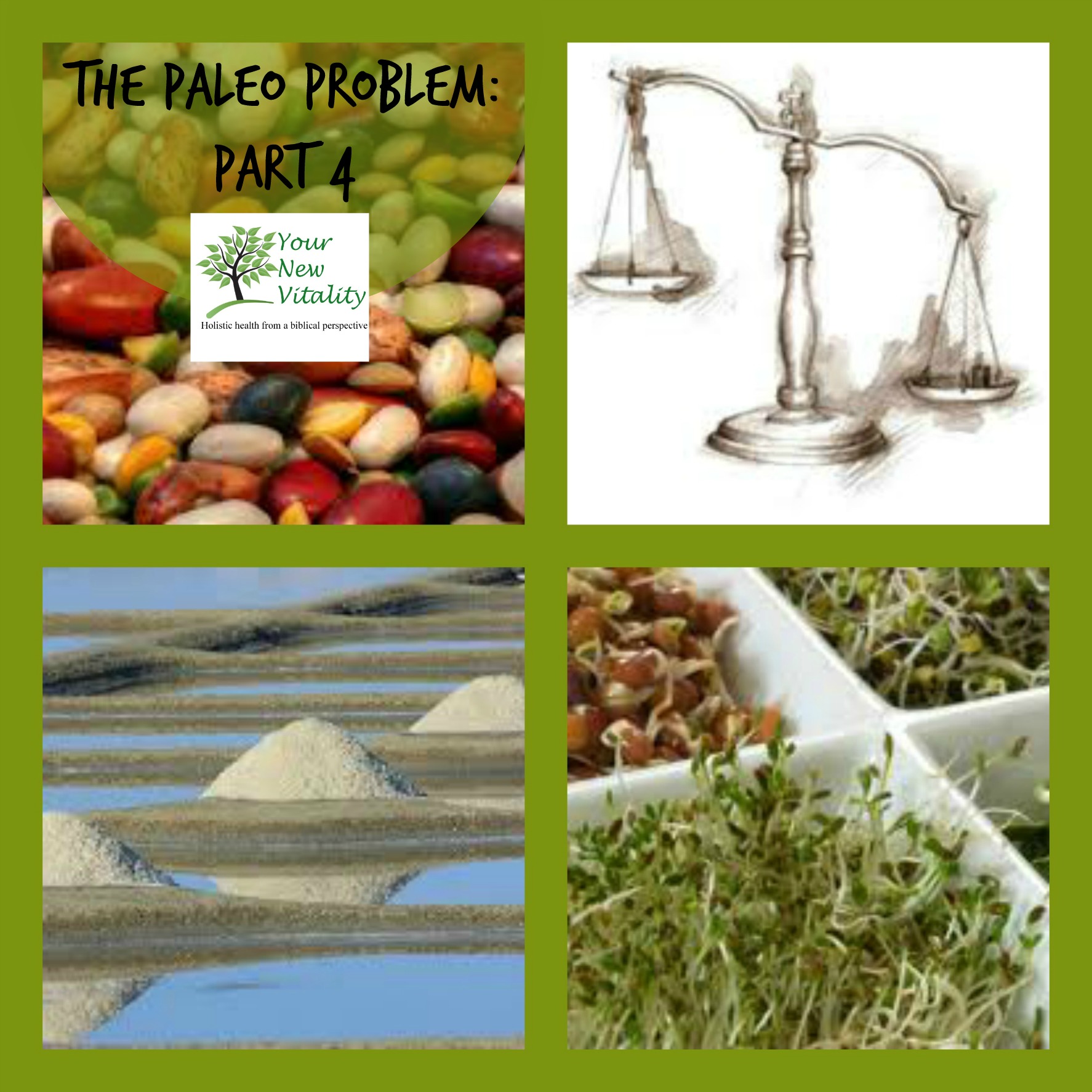 The Paleo Problem: Part 4