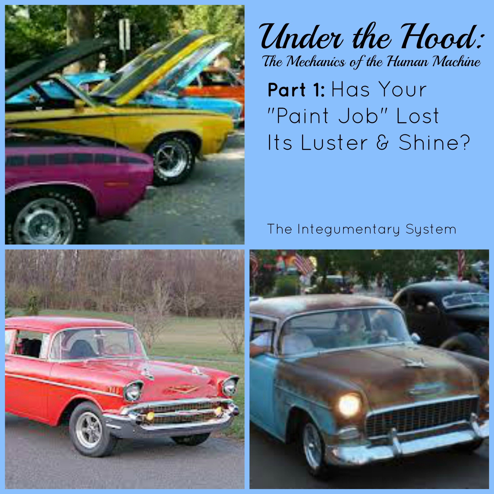 Under the Hood: The Mechanics of the Human Machine
