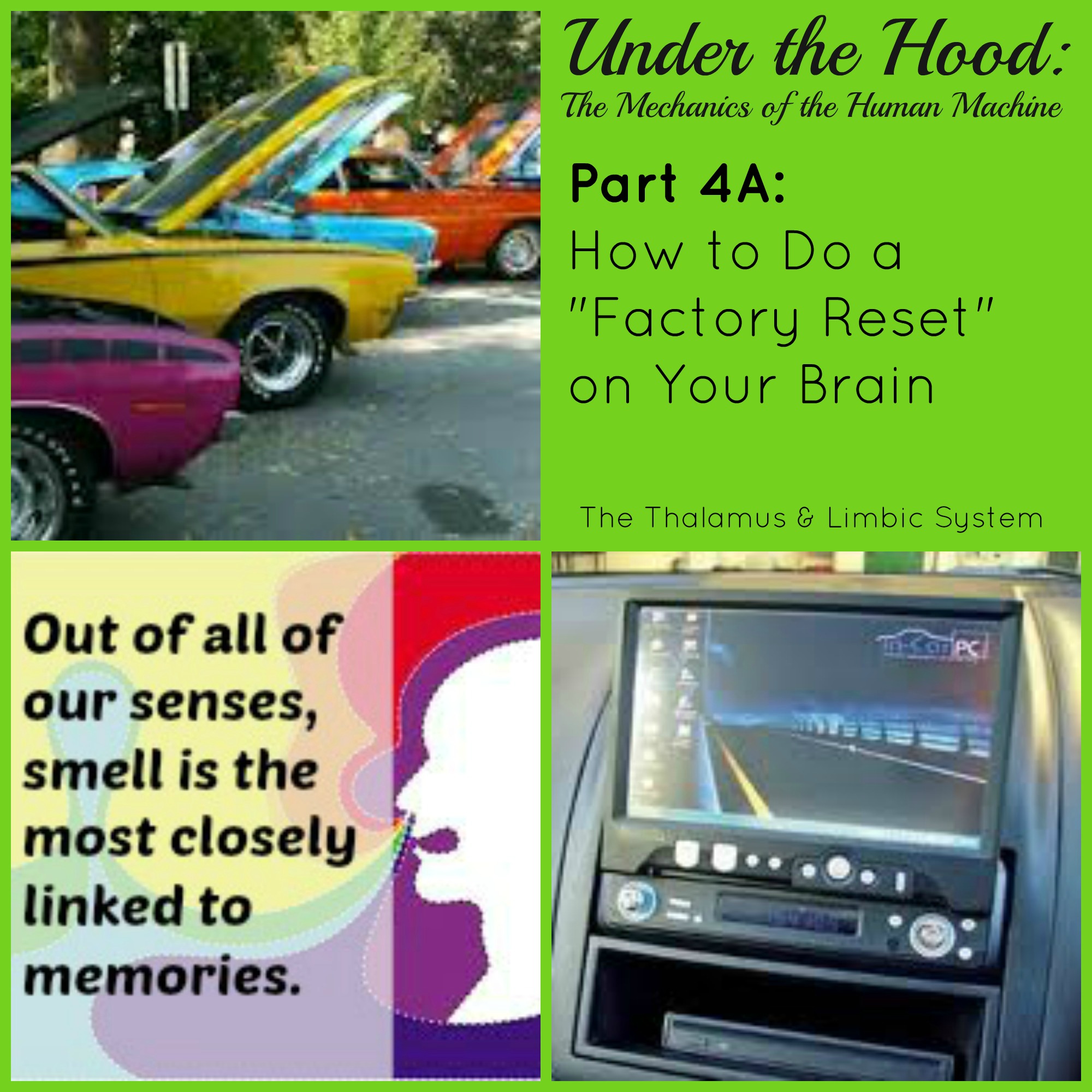 Under the Hood: The Mechanics of the Human Machine