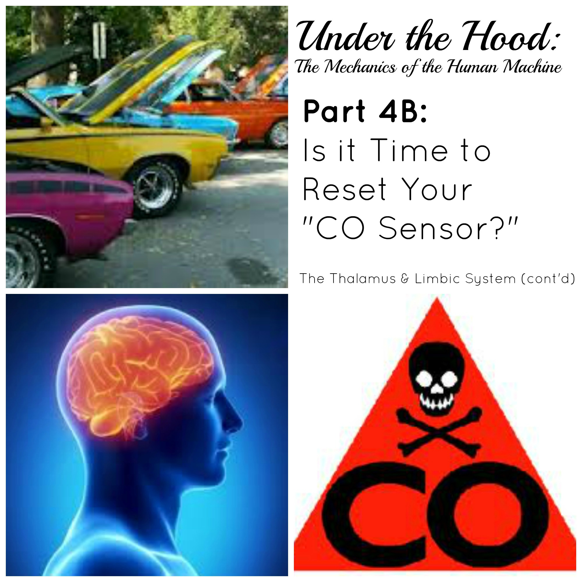 Under the Hood: The Mechanics of the Human Machine