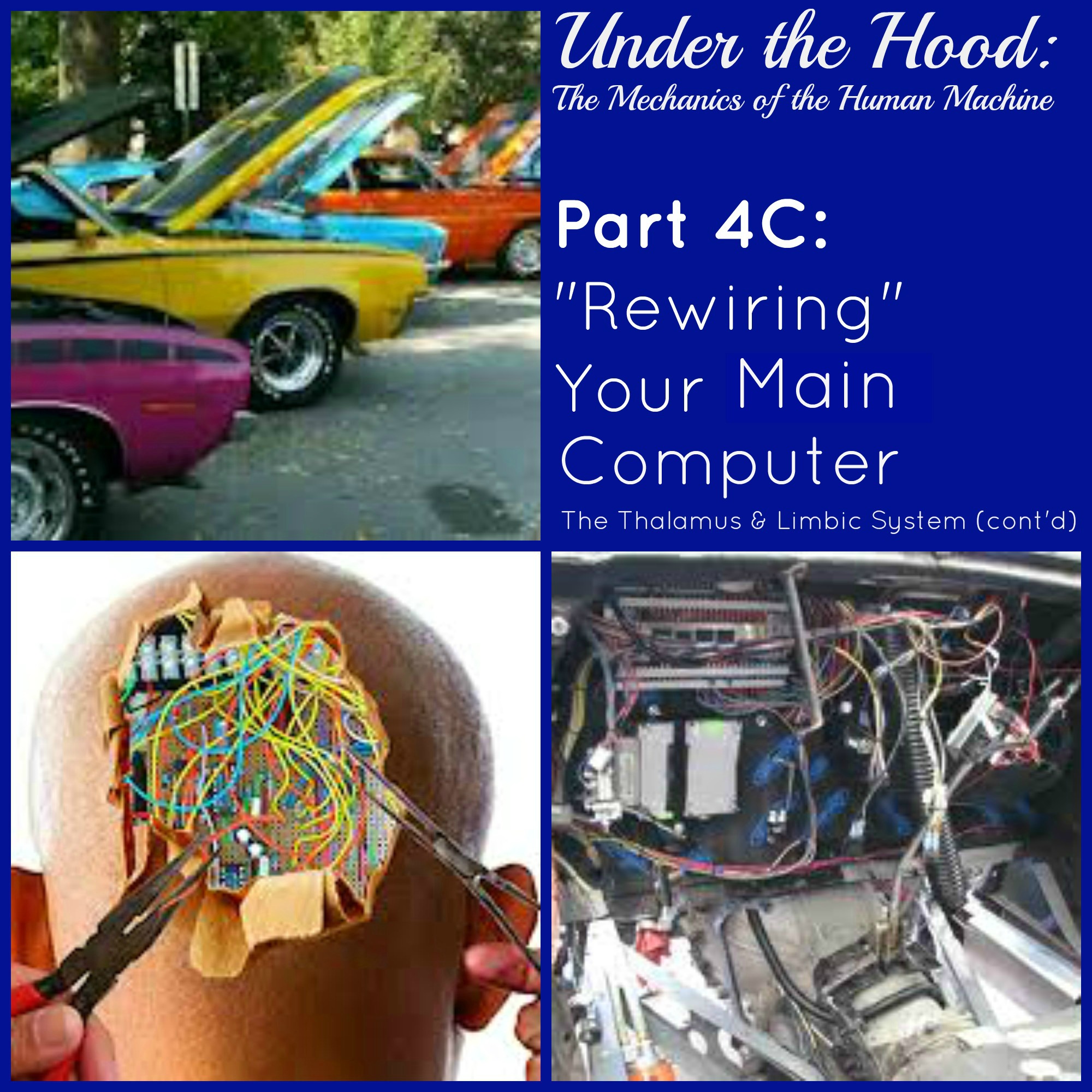Under the Hood: The Mechanics of the Human Machine