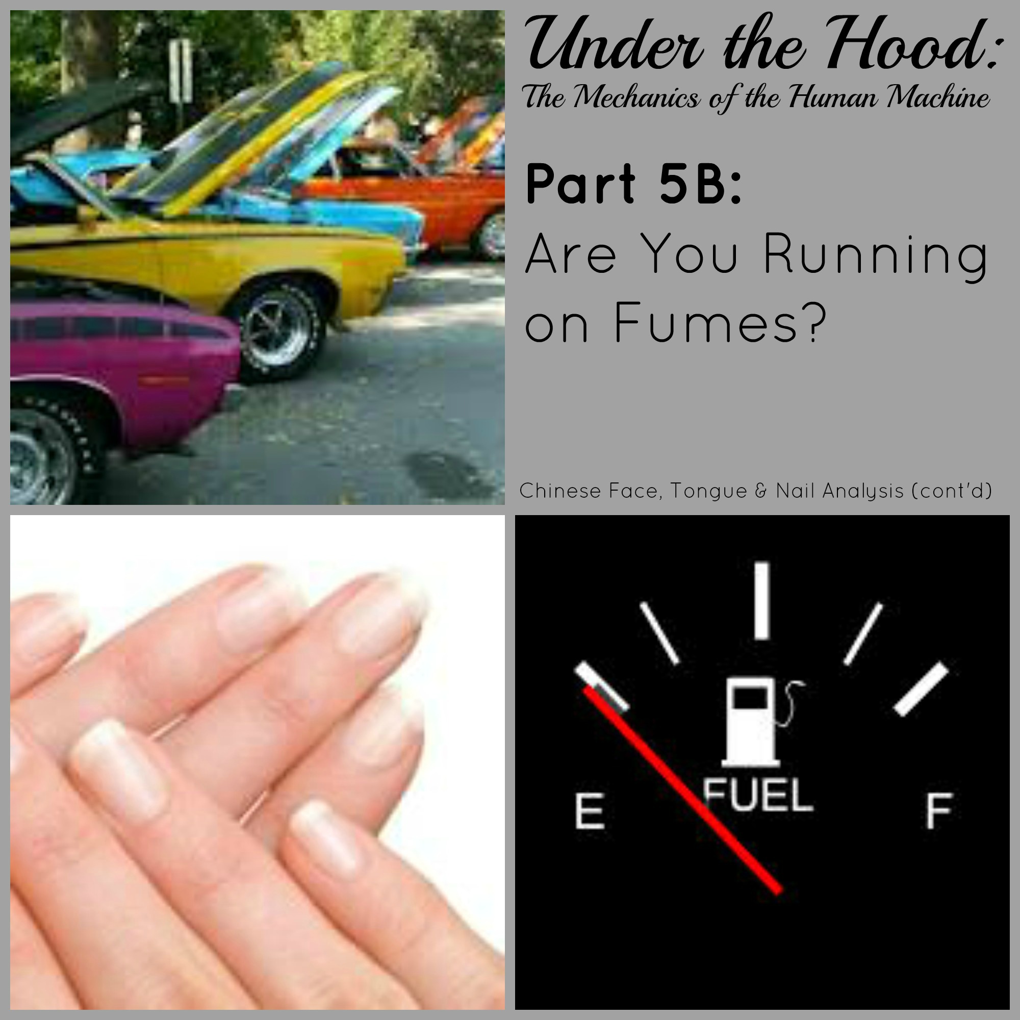 Under the Hood: The Mechanics of the Human Machine