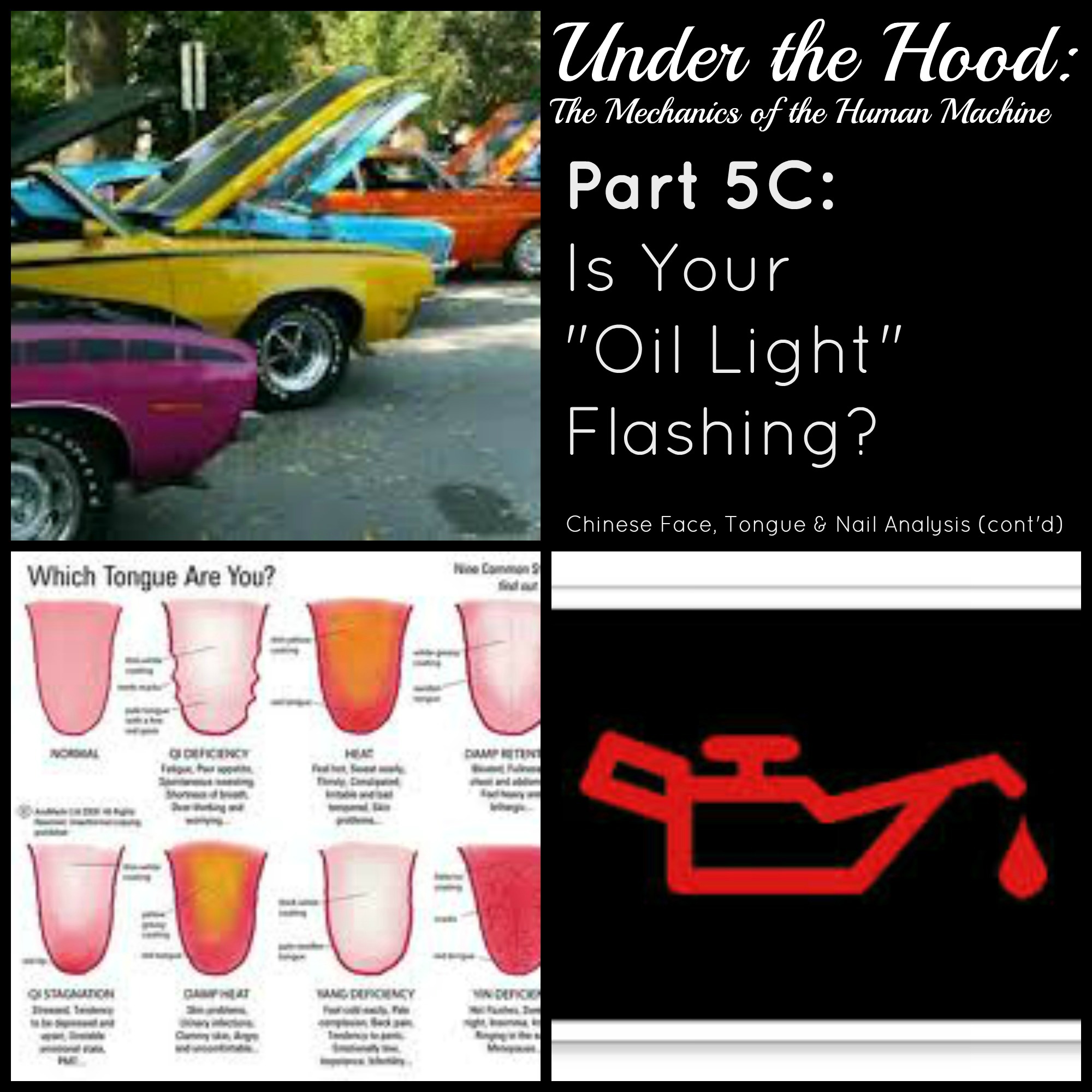 Under the Hood: The Mechanics of the Human Machine