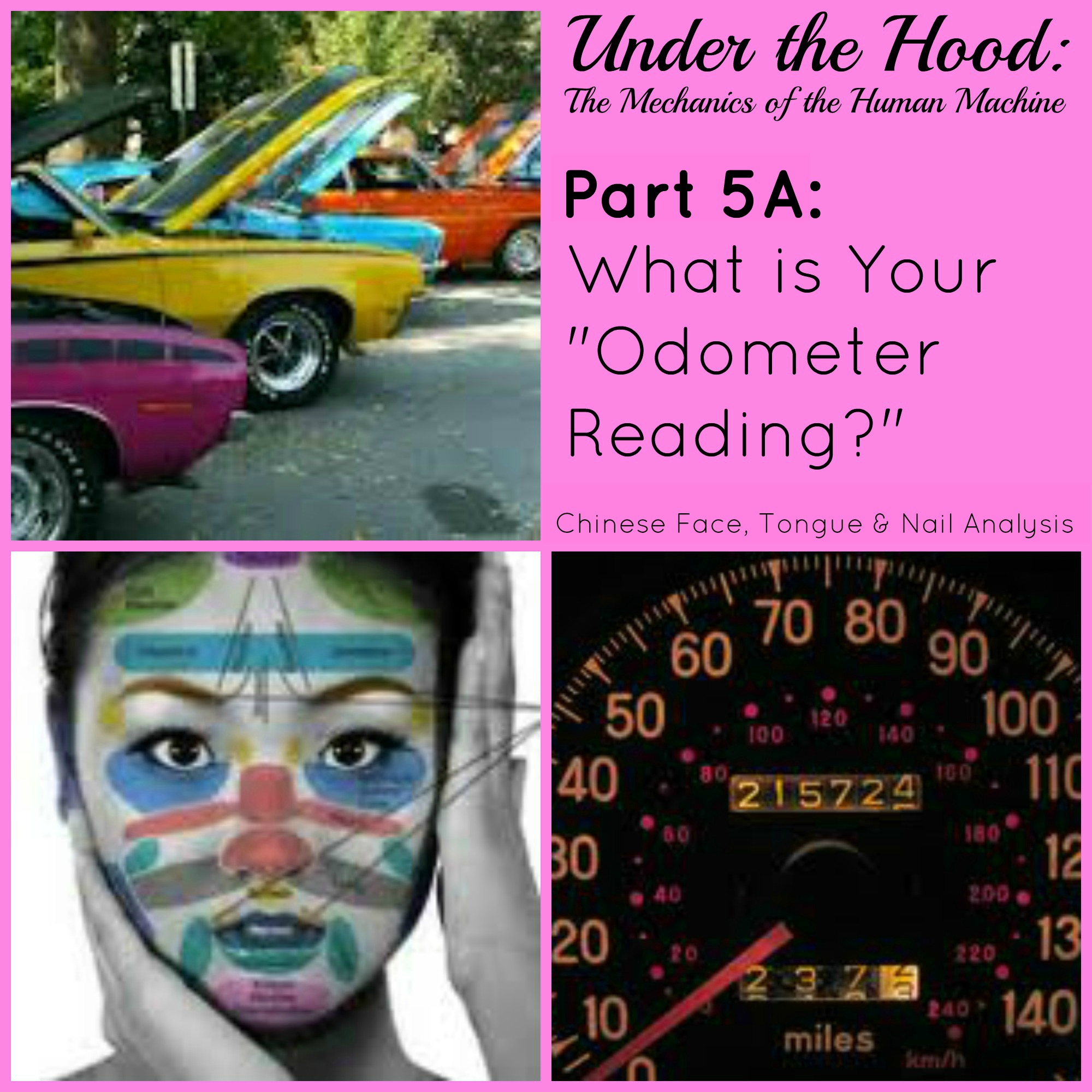 Under the Hood: The Mechanics of the Human Machine