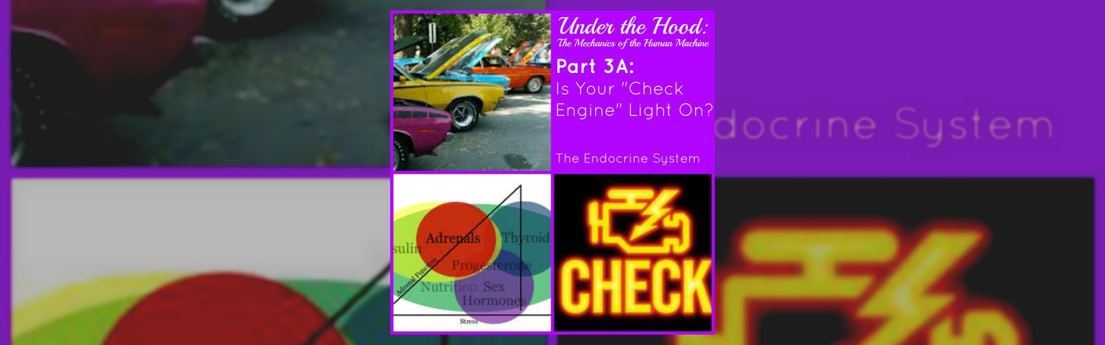 Under the Hood: The Mechanics of the Human Machine