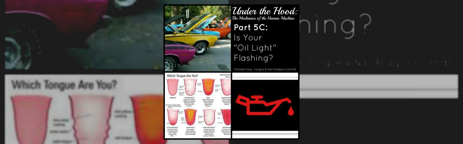 Under the Hood: The Mechanics of the Human Machine