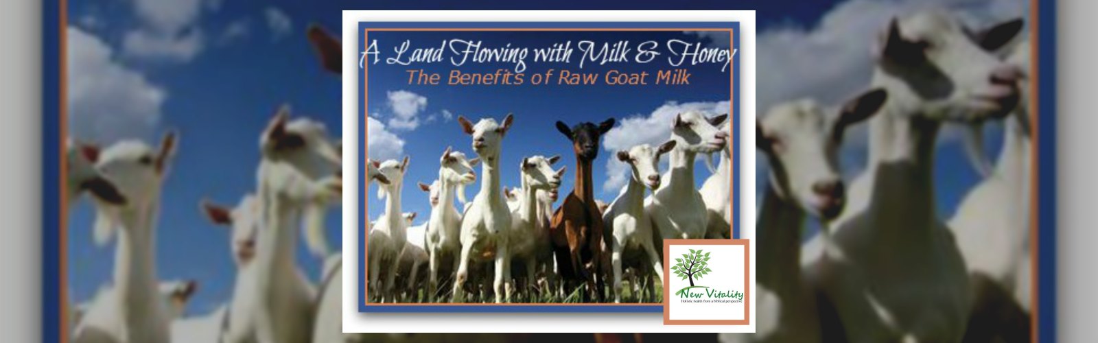 A Land Flowing with Milk & Honey