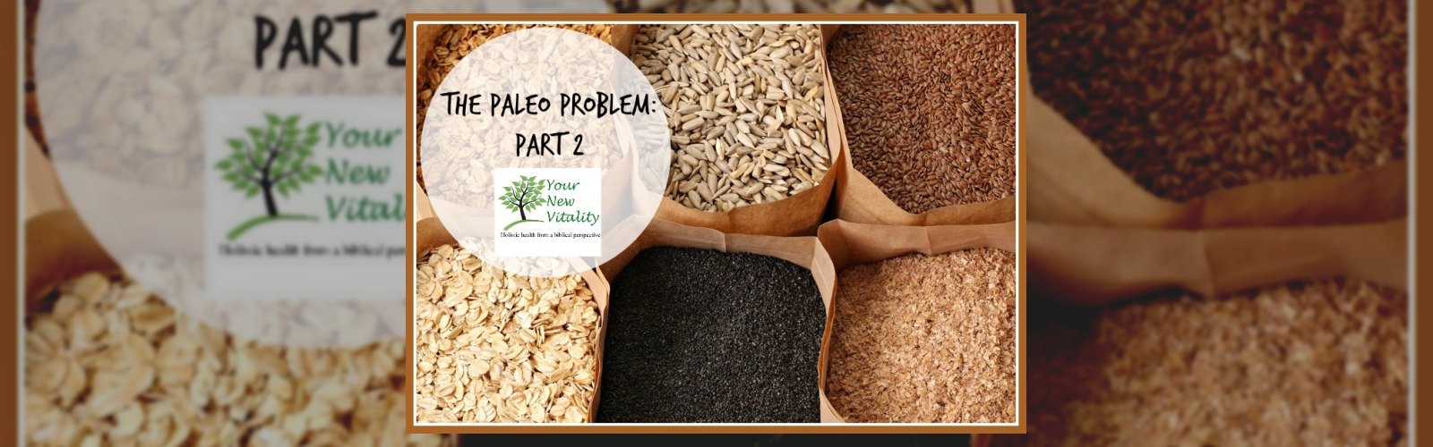 The Paleo Problem: Part 2
