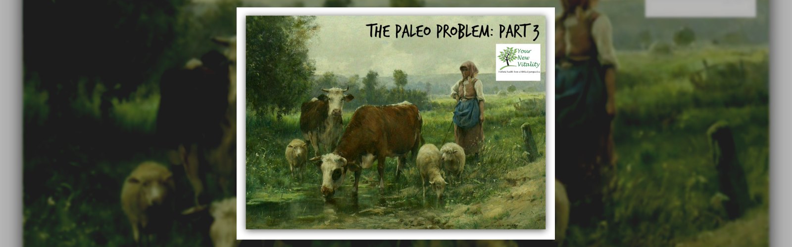 The Paleo Problem: Part 3