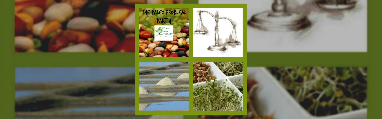 The Paleo Problem: Part 4