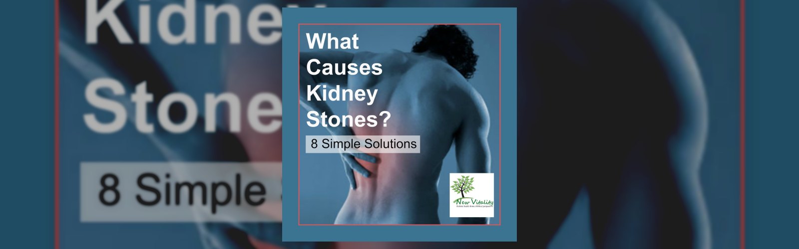 What Causes Kidney Stones?