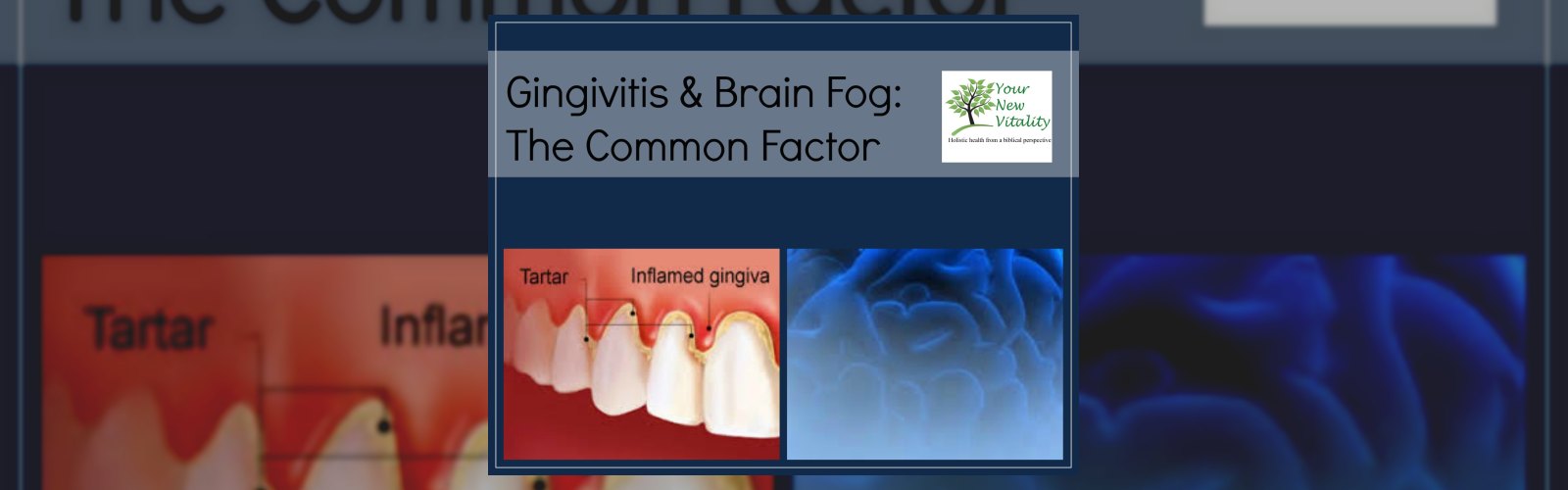 Gingivitis & Brain Fog: The Common Factor