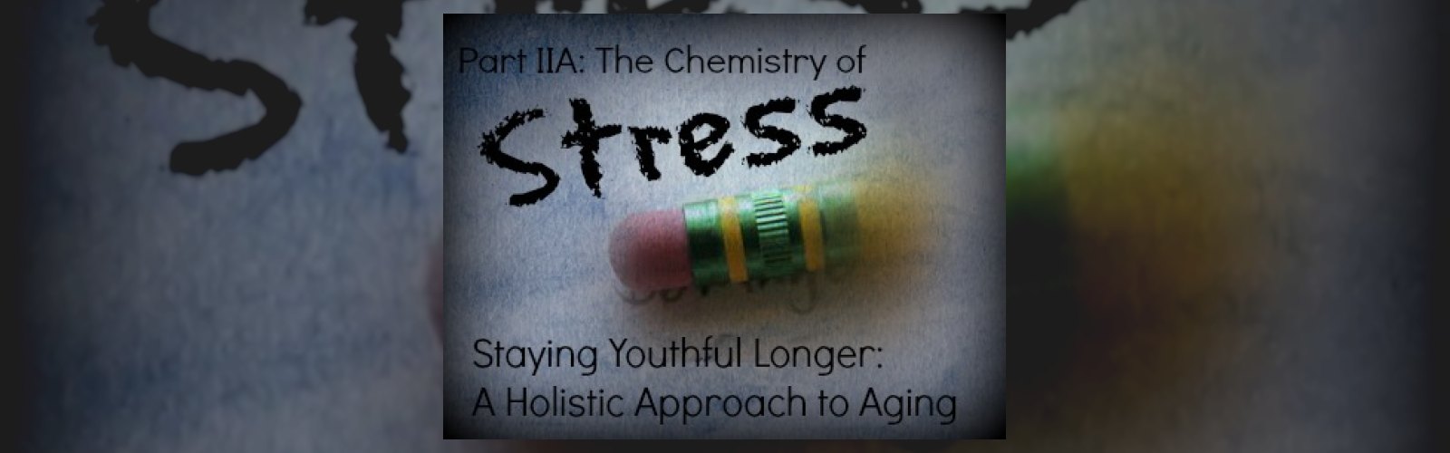Staying Youthful Longer: A Holistic Approach to Aging