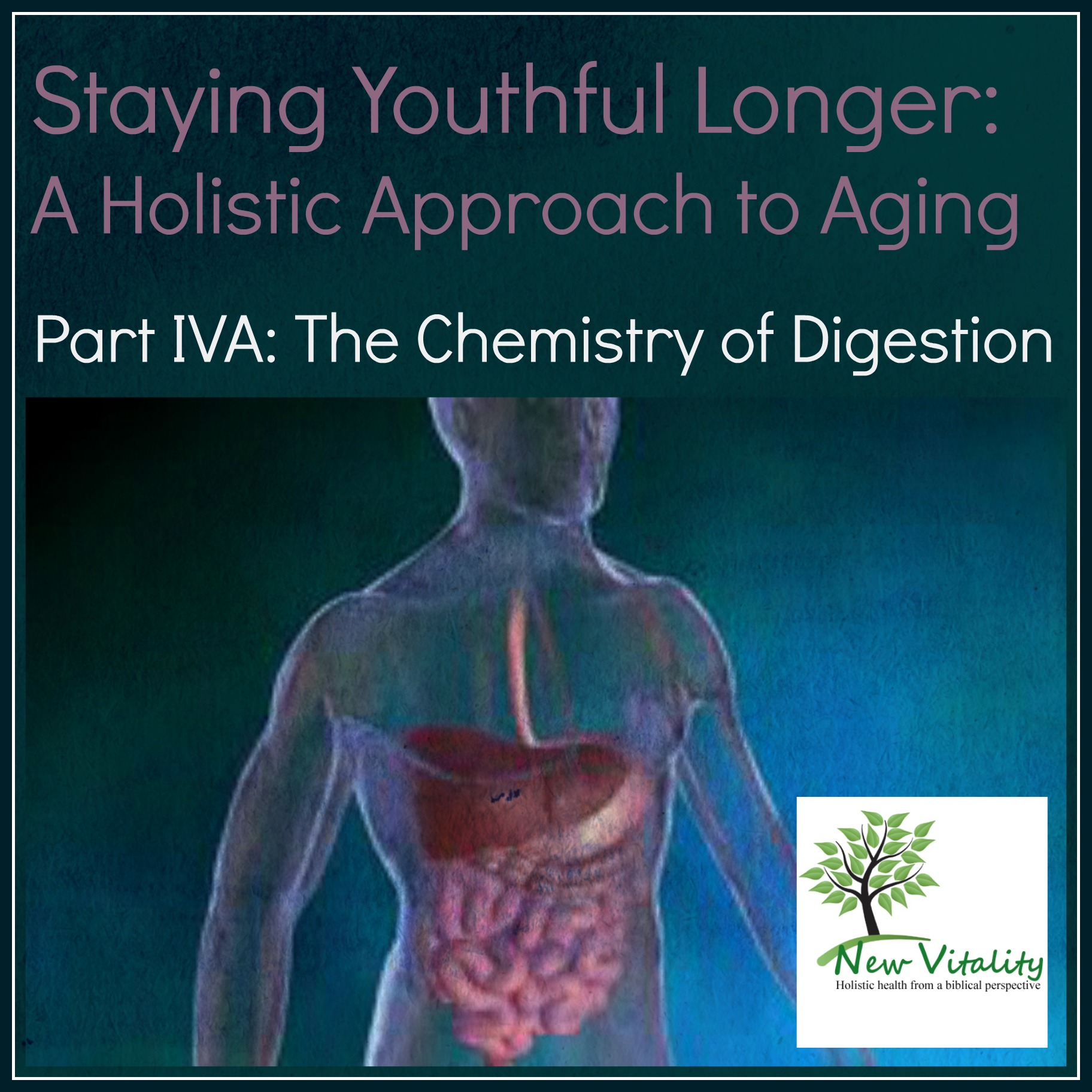 Staying Youthful Longer: A Holistic Approach to Aging