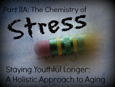 Staying Youthful Longer: A Holistic Approach to Aging