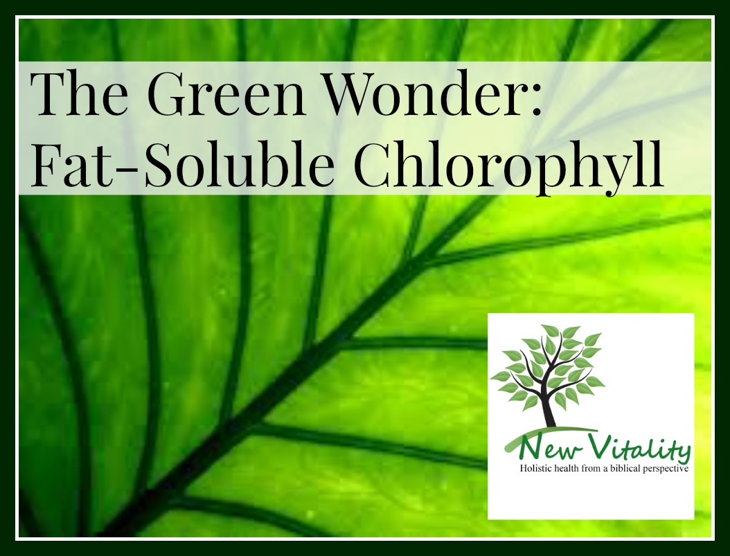 The Green Wonder:  Fat-Soluble Chlorophyll