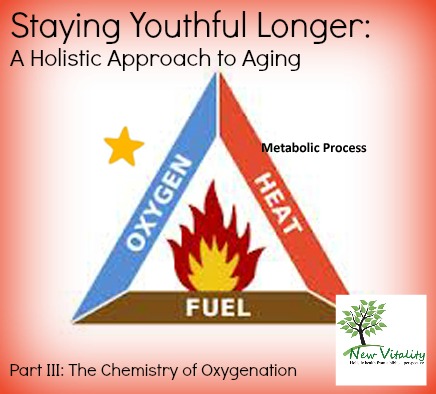 Staying Youthful Longer: A Holistic Approach to Aging