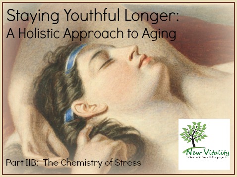 Staying Youthful Longer: A Holistic Approach to Aging