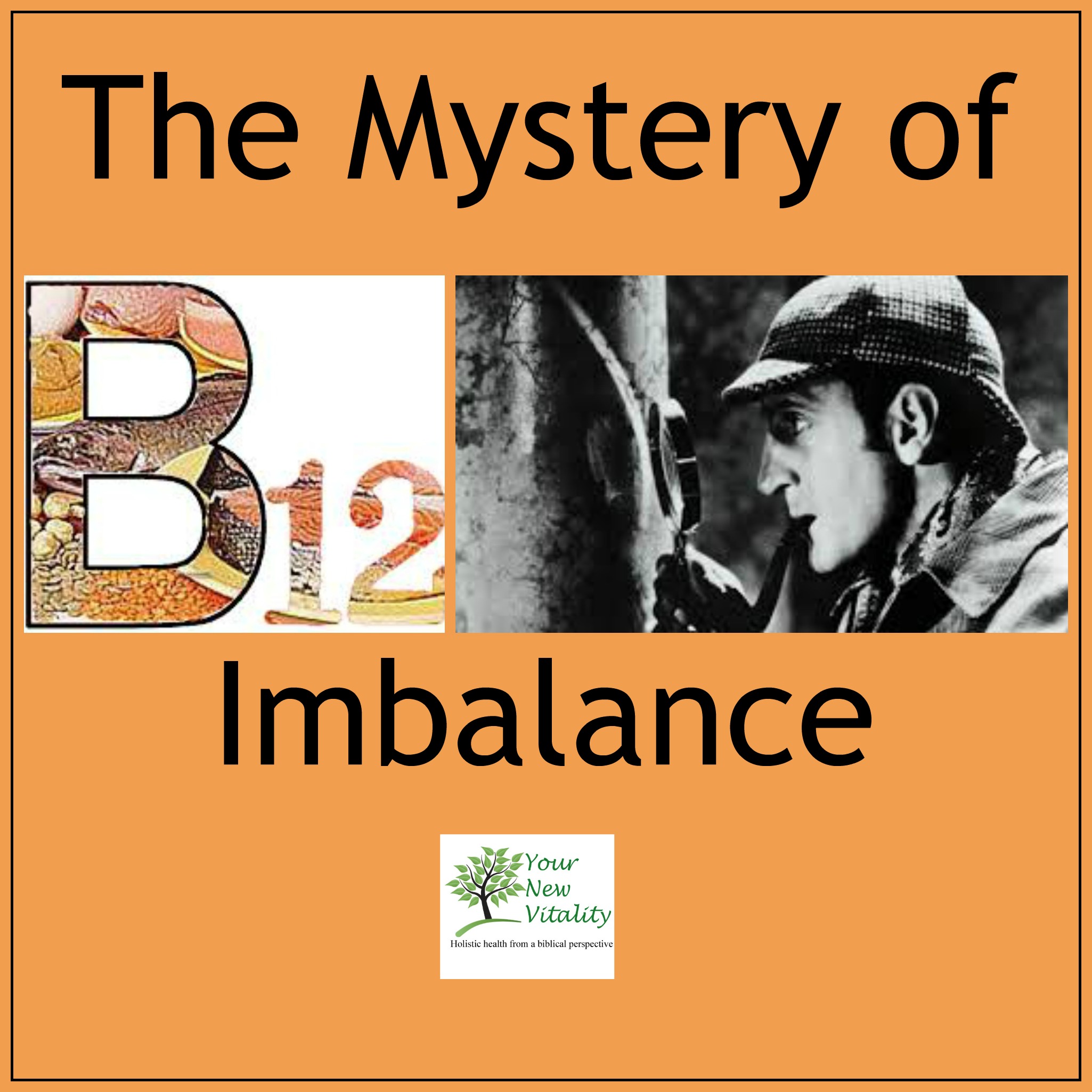 the mystery of B12 imbalance2