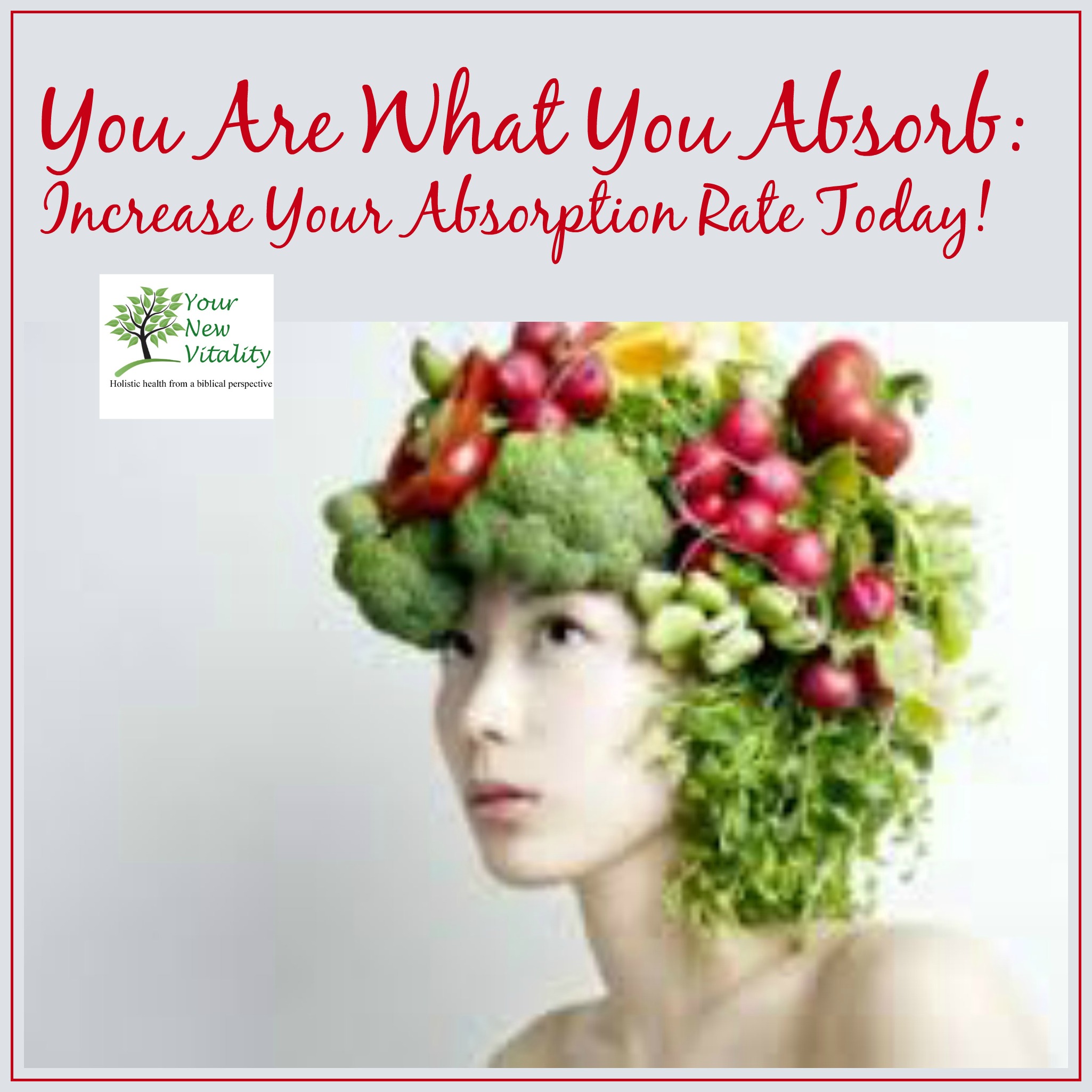 You Are What You Absorb: Increase Your Absorption Rate Today!